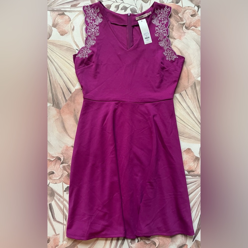 Mi Ami Francesca’s Magenta Skater Dress
